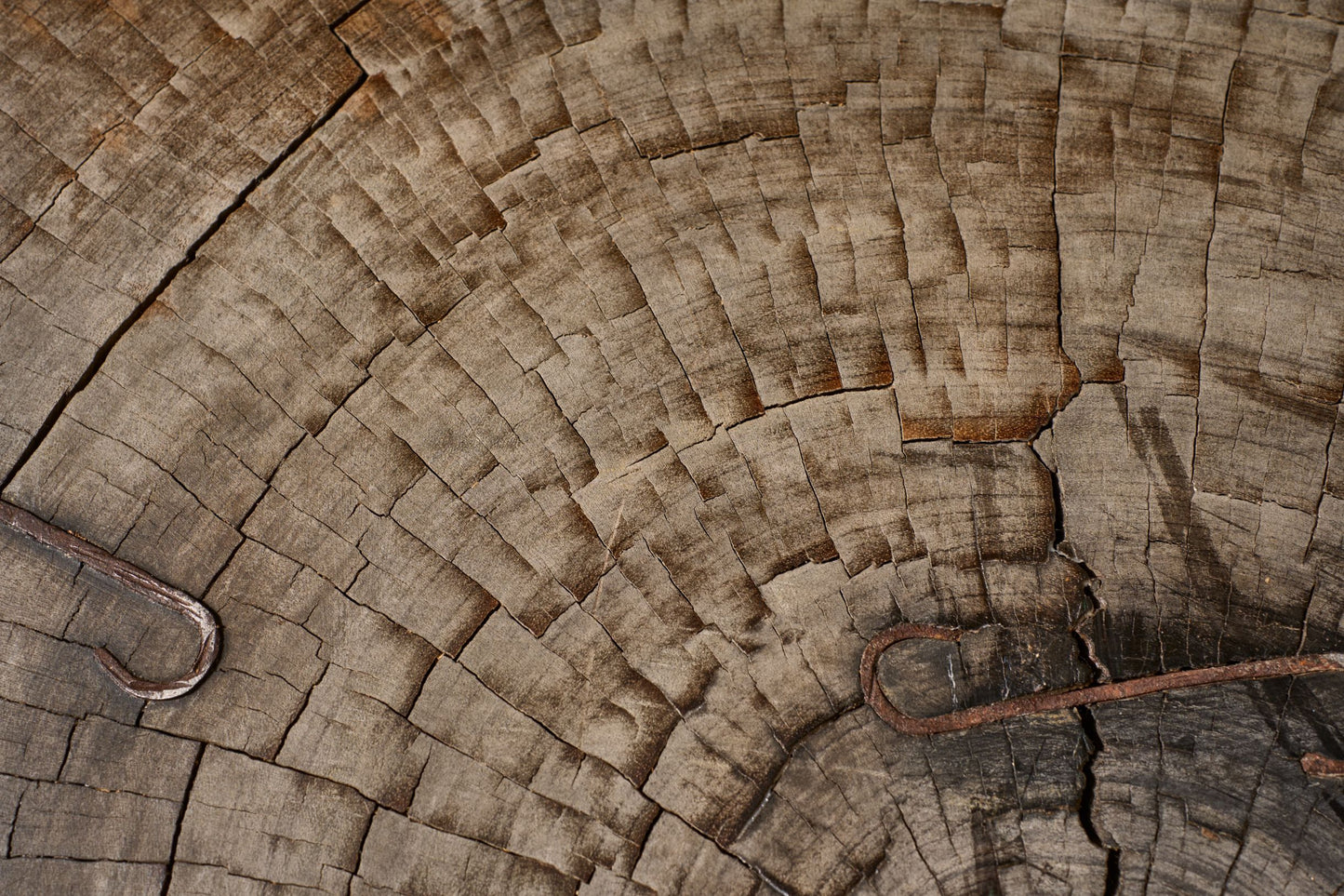 Large 20th century Naturalistic coffee table