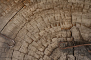 Large 20th century Naturalistic coffee table - TallBoy Interiors