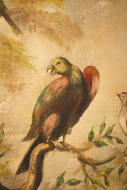 19th century Oil on canvas painting of tropical birds