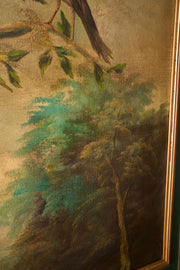 19th century Oil on canvas painting of tropical birds