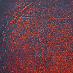 'Crown' Acrylic on board by Damian Willett - TallBoy Interiors