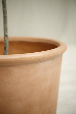 Modern Clay garden pot- Large blush