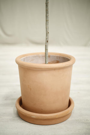 Modern clay garden pot- Small blush