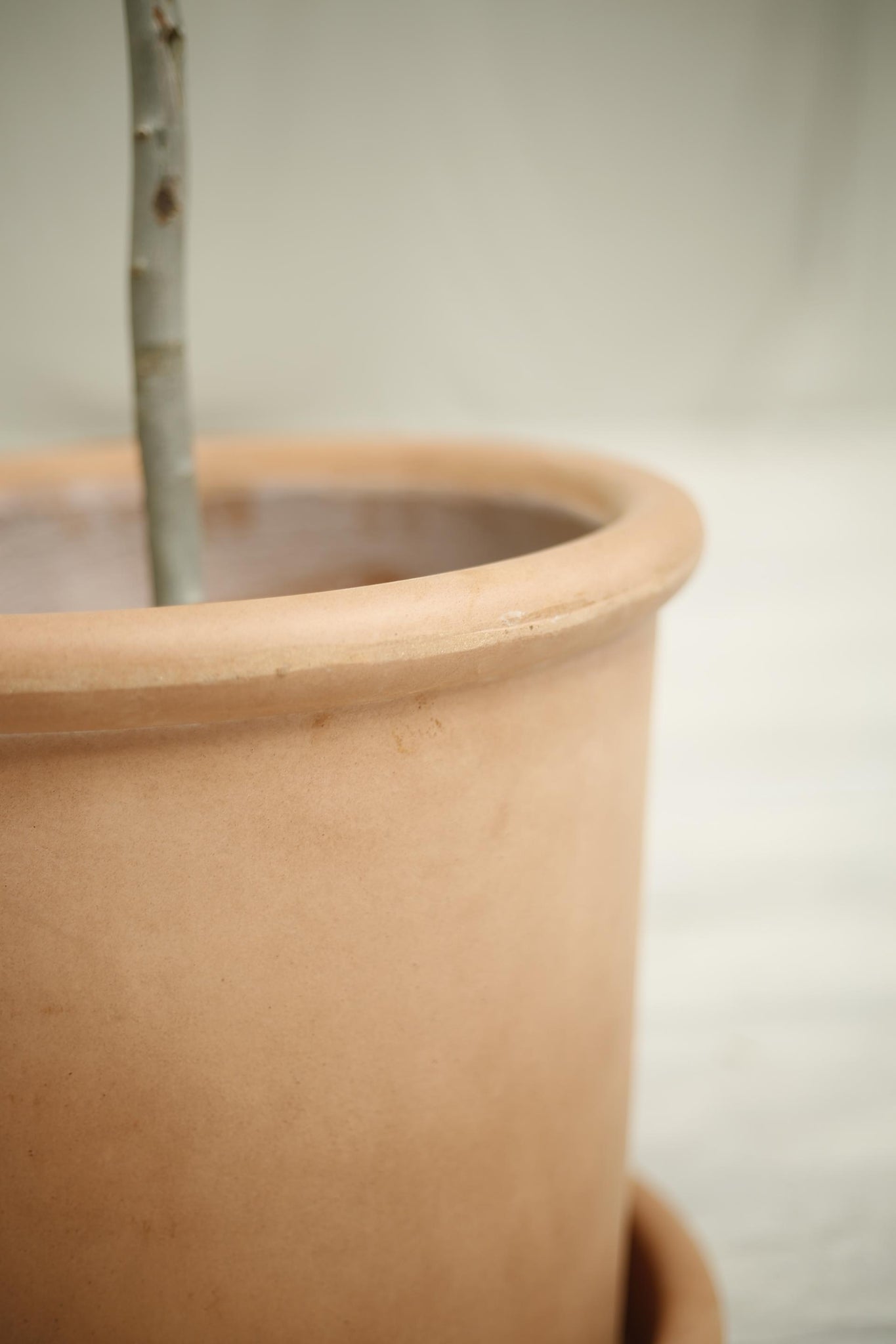 Modern clay garden pot- Small blush