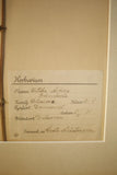Early 20th century Swedish herbarium page- No2