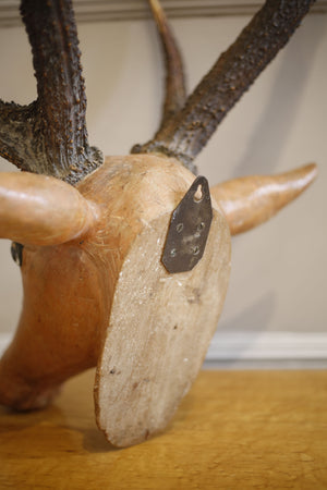 19th century Carved wooden Austrian deer head - TallBoy Interiors