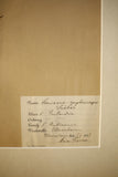 Early 20th century Swedish herbarium page- No9