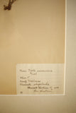 Early 20th century Swedish herbarium page- No21