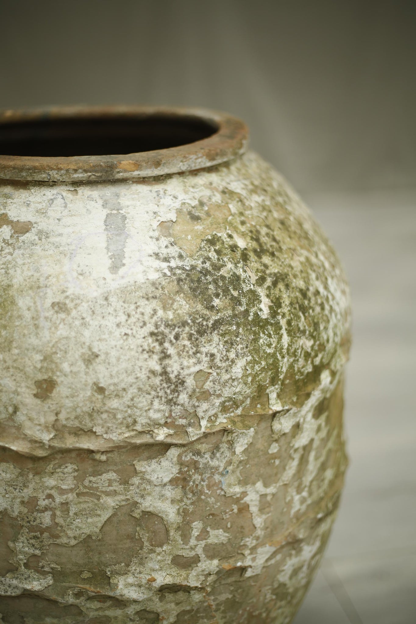 Early 20th century Turkish Olive pot No19 - TallBoy Interiors