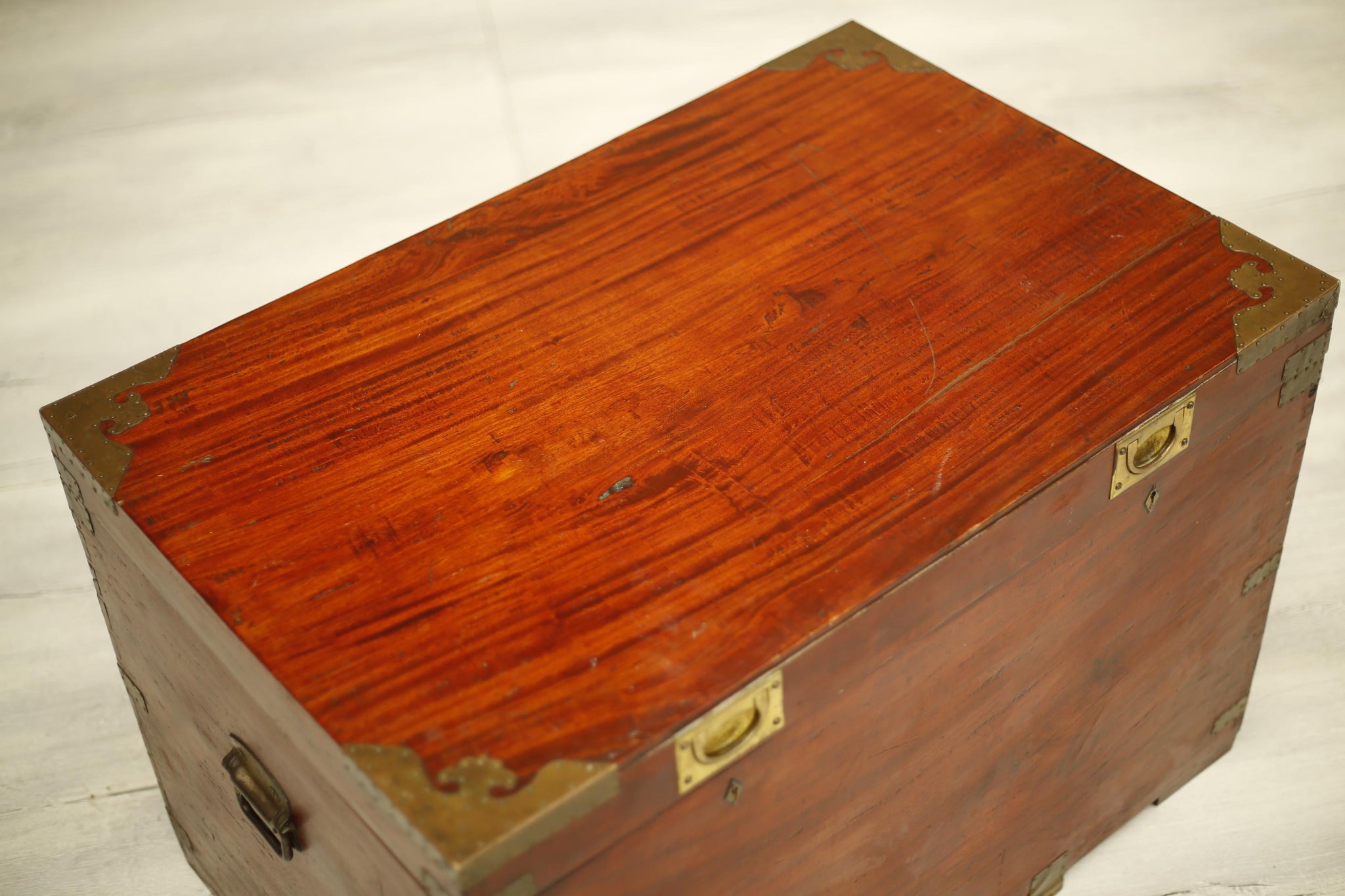 19th century Anglo-Indian Camphor wood campaign trunk - TallBoy Interiors