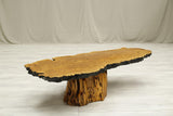 20th century large burr oak naturalistic coffee table - TallBoy Interiors