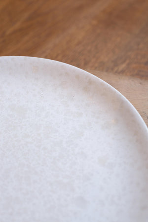 Portuguese 'Splash' Dinner Plates