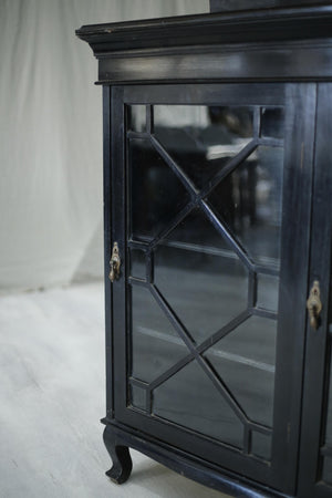 Antique Victorian Ebonised bookcase with astral glazed glass