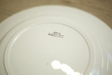 Vintage French hand decorated dinner plates