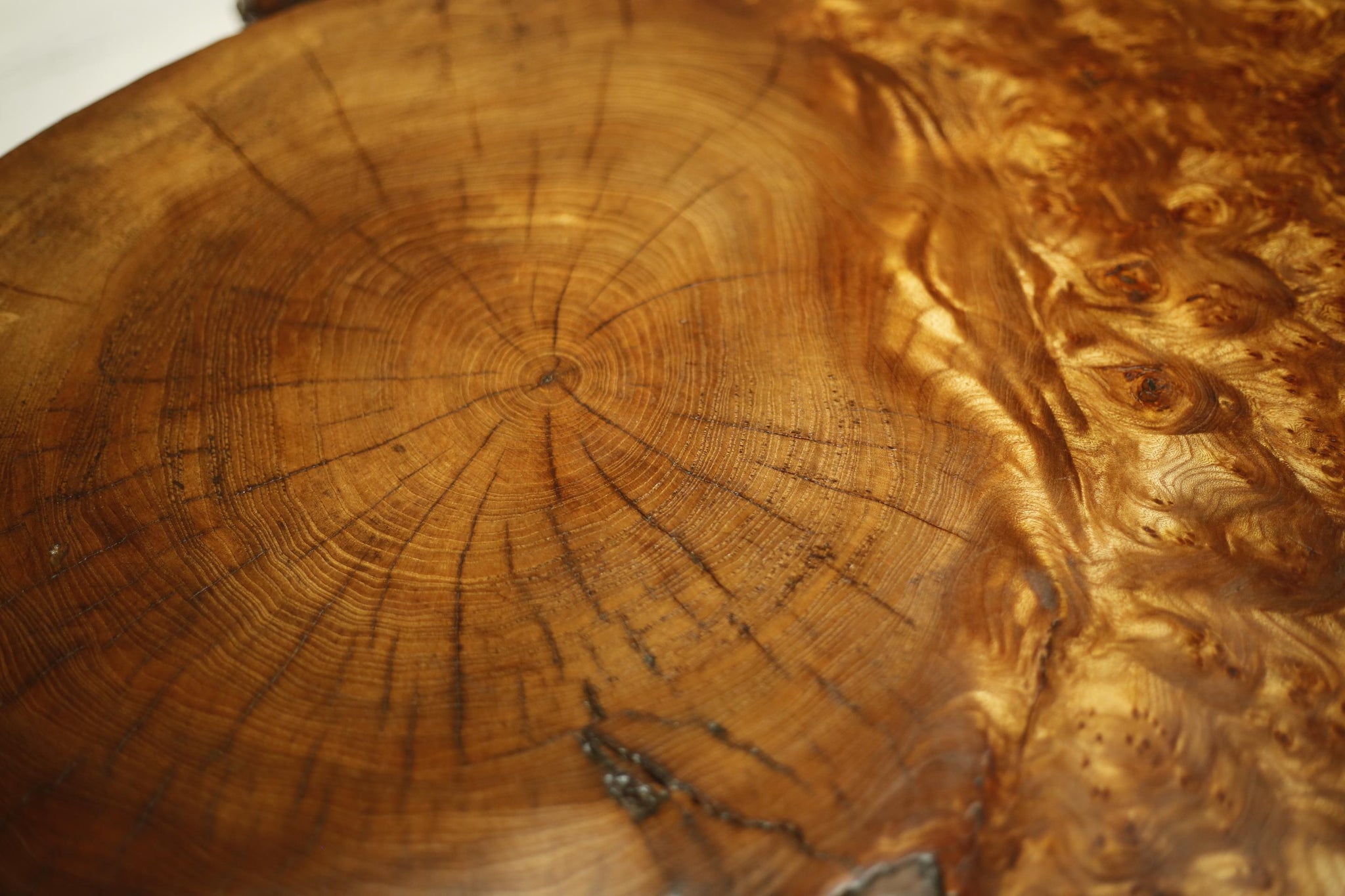 Mid century Burr walnut live edge coffee table- Large