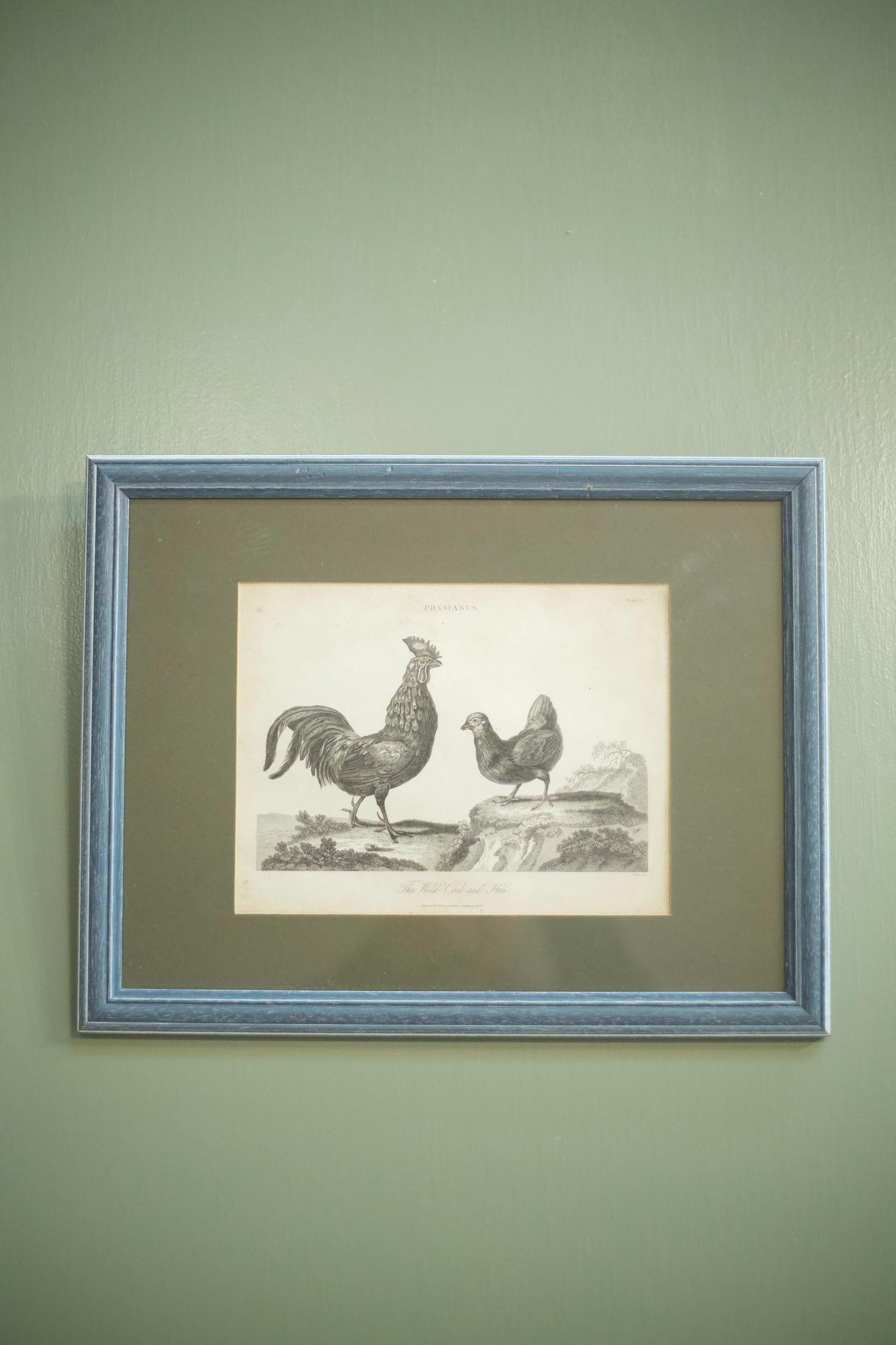 18th century book plate of a cockerel and hen