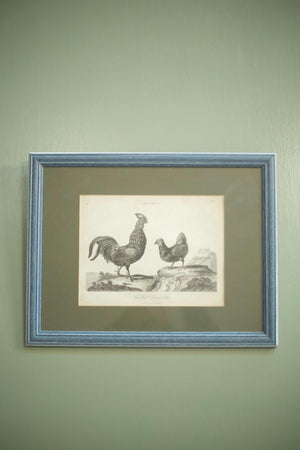 18th century book plate of a cockerel and hen