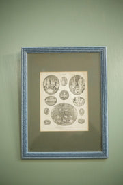 18th century book plate of intaglio's - TallBoy Interiors