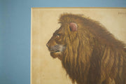 18th century book plate of a lion - TallBoy Interiors