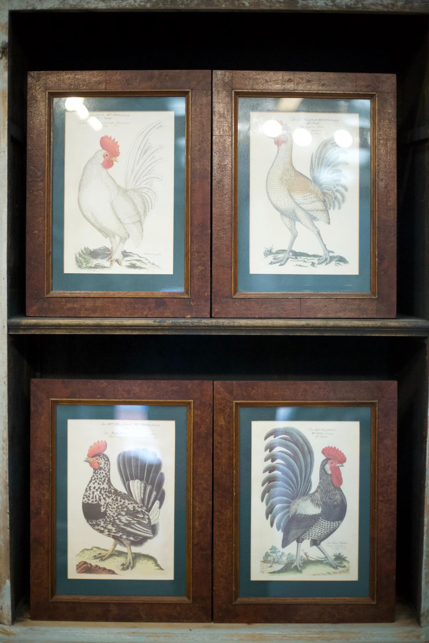 4x 20th century German cockerel prints