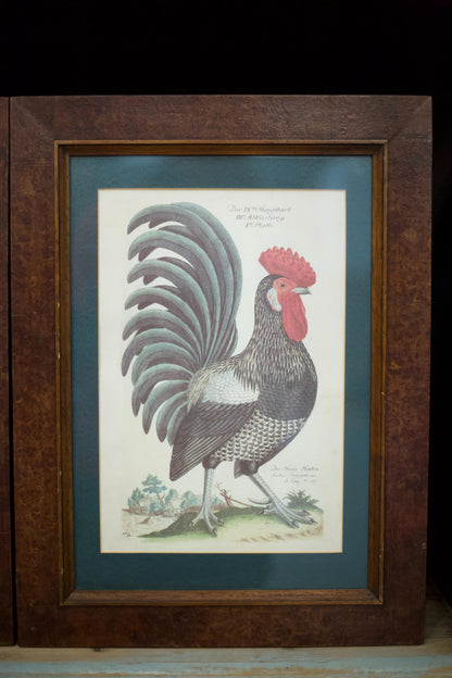 4x 20th century German cockerel prints