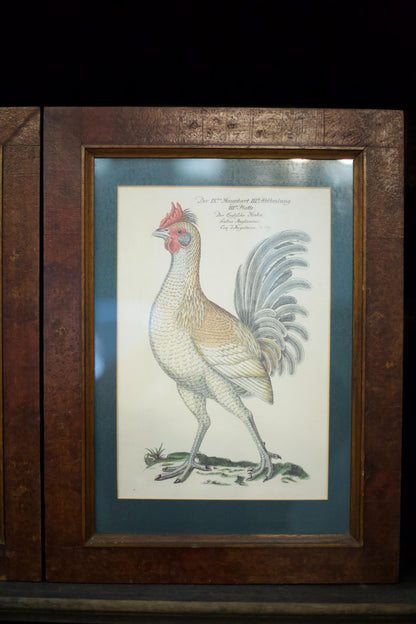 4x 20th century German cockerel prints