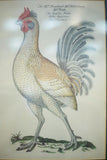 4x 20th century German cockerel prints