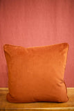 Umber velvet scatter cushions - 20 inch