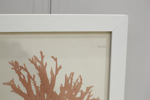 Henry Bradbury Seaweed print #12