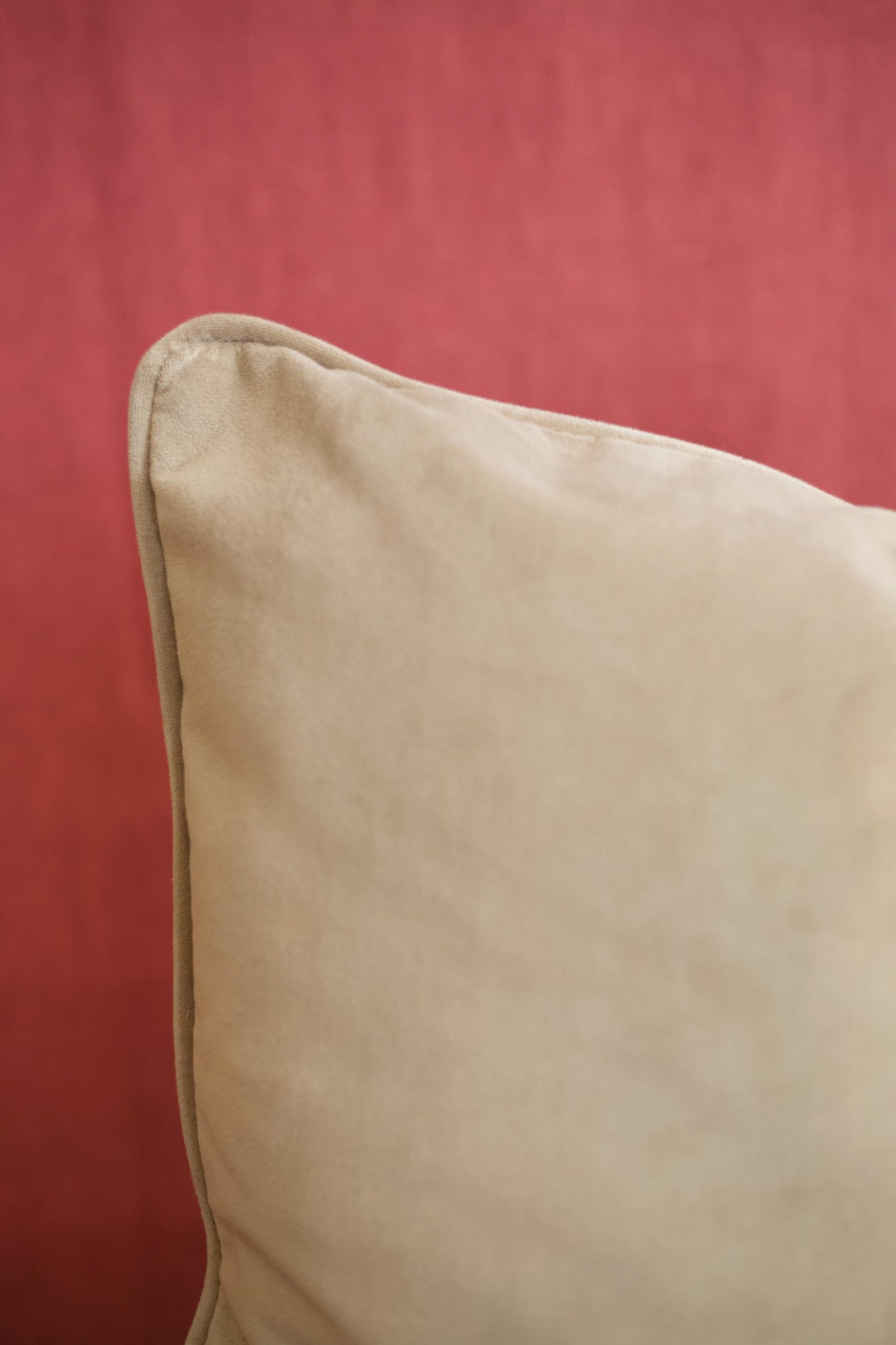 Ecru velvet scatter cushions - 20 inch