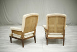Pair of 19th century French armchairs with carved frames