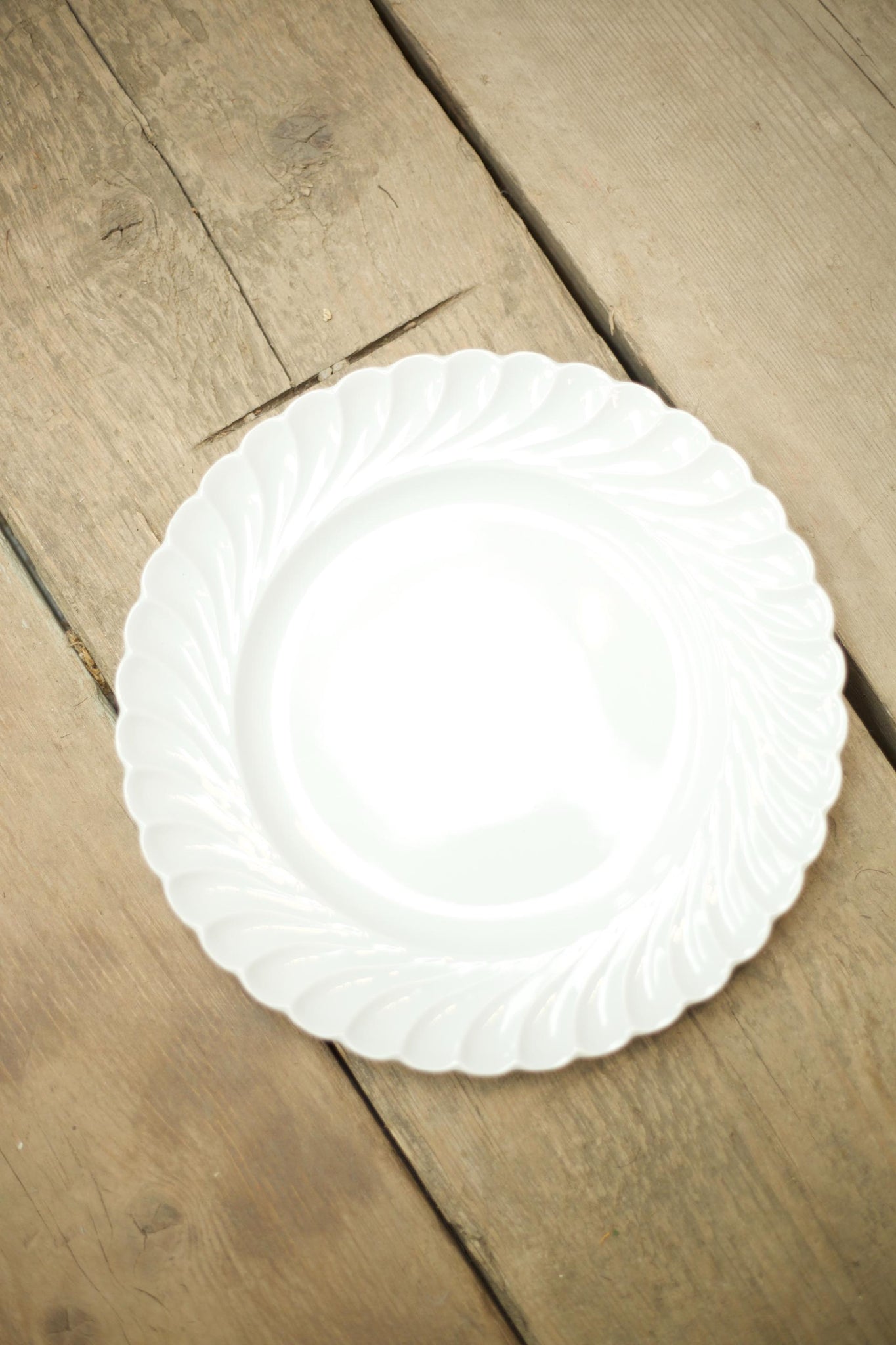 White porcelain dinner plates