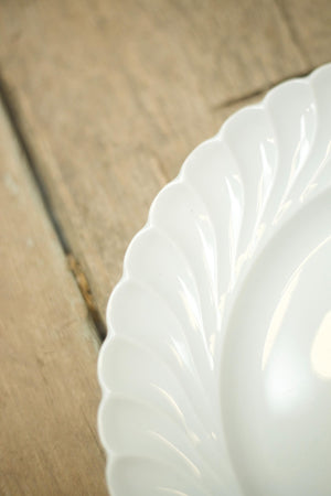 White porcelain dinner plates