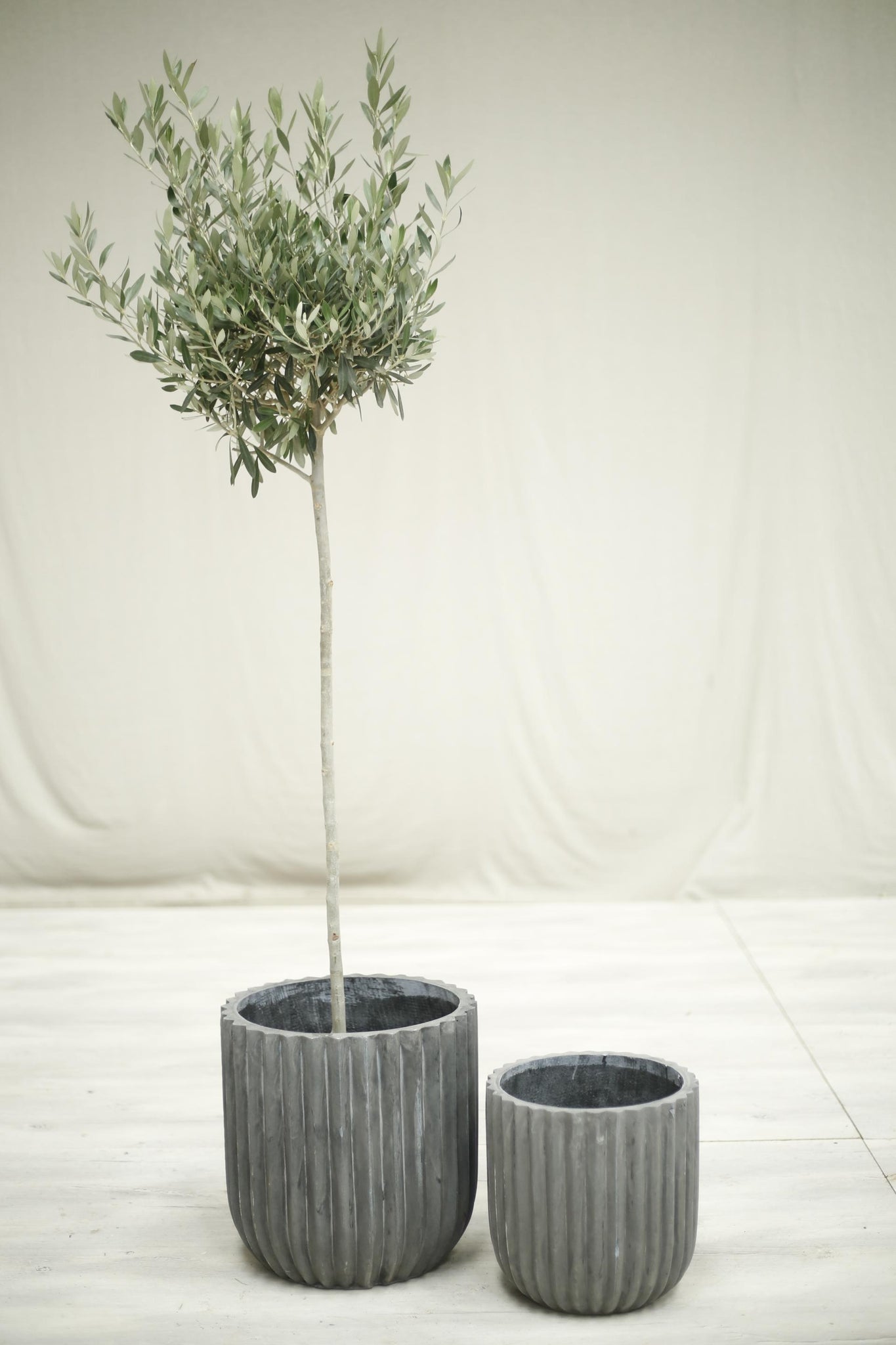 Pair of Modern clay garden pots- Anthracite