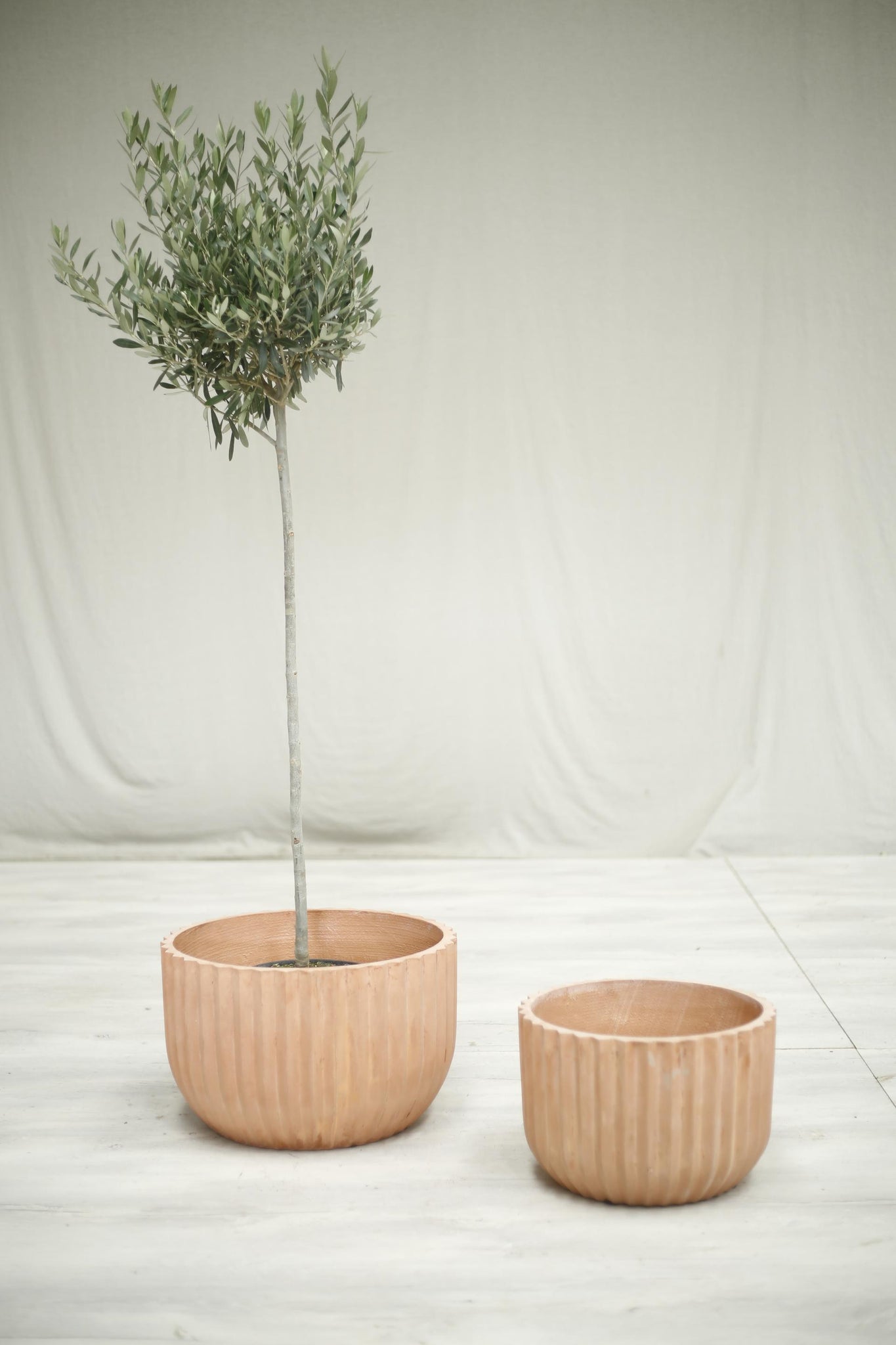 A Pair of modern low garden planters- Blush