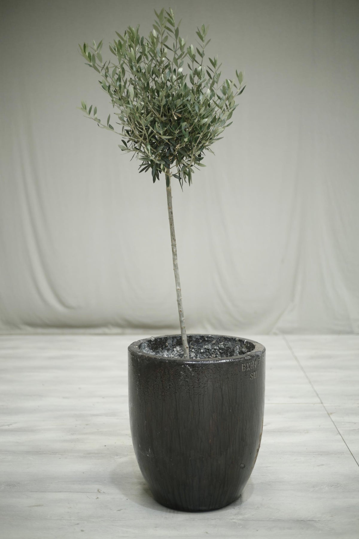 Very Large smelting pot- No3 - TallBoy Interiors