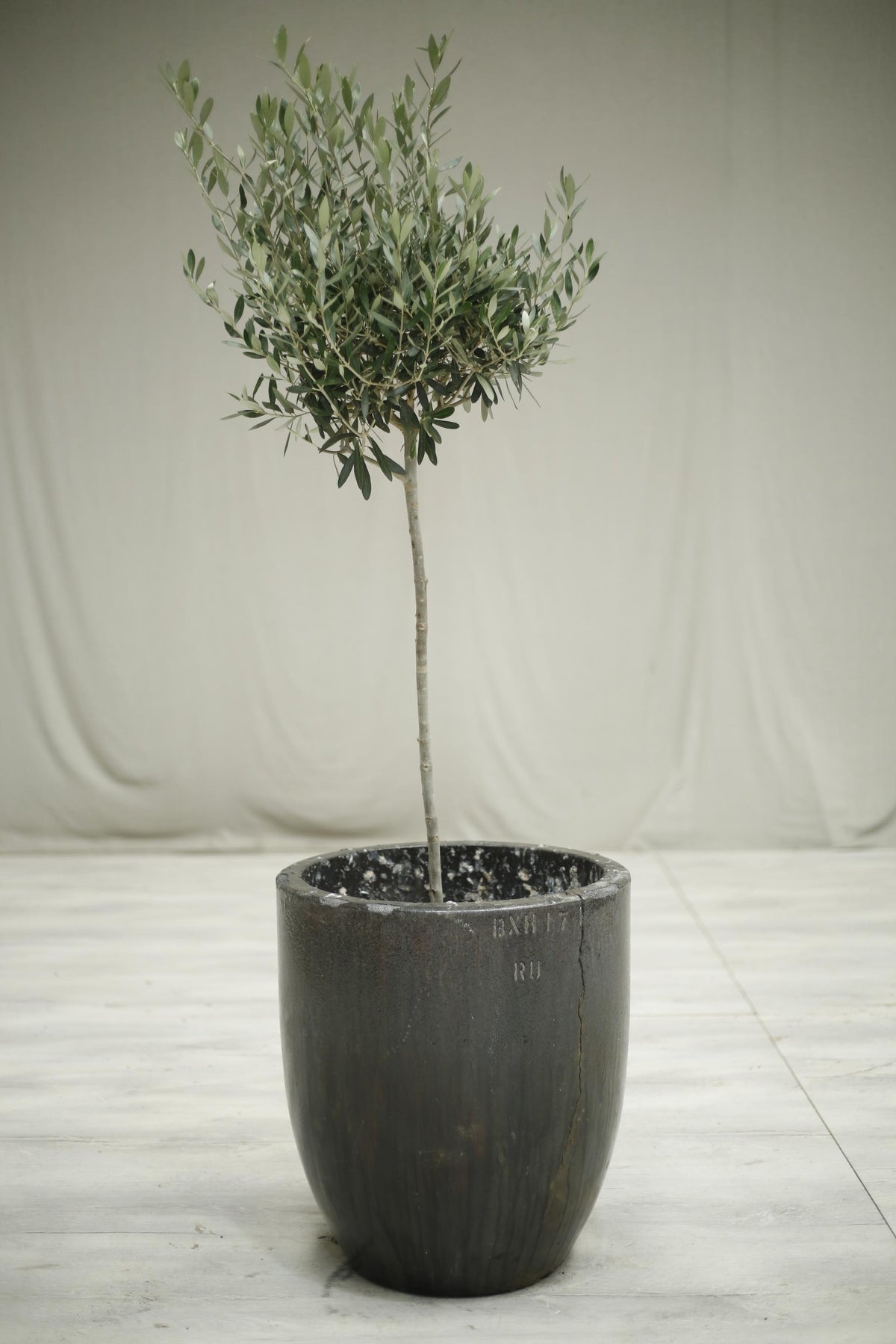 Very Large smelting pot- No4 - TallBoy Interiors