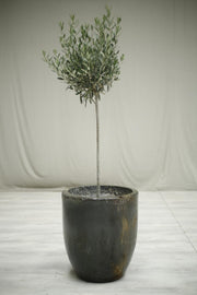 Very large smelting pot- No5 - TallBoy Interiors