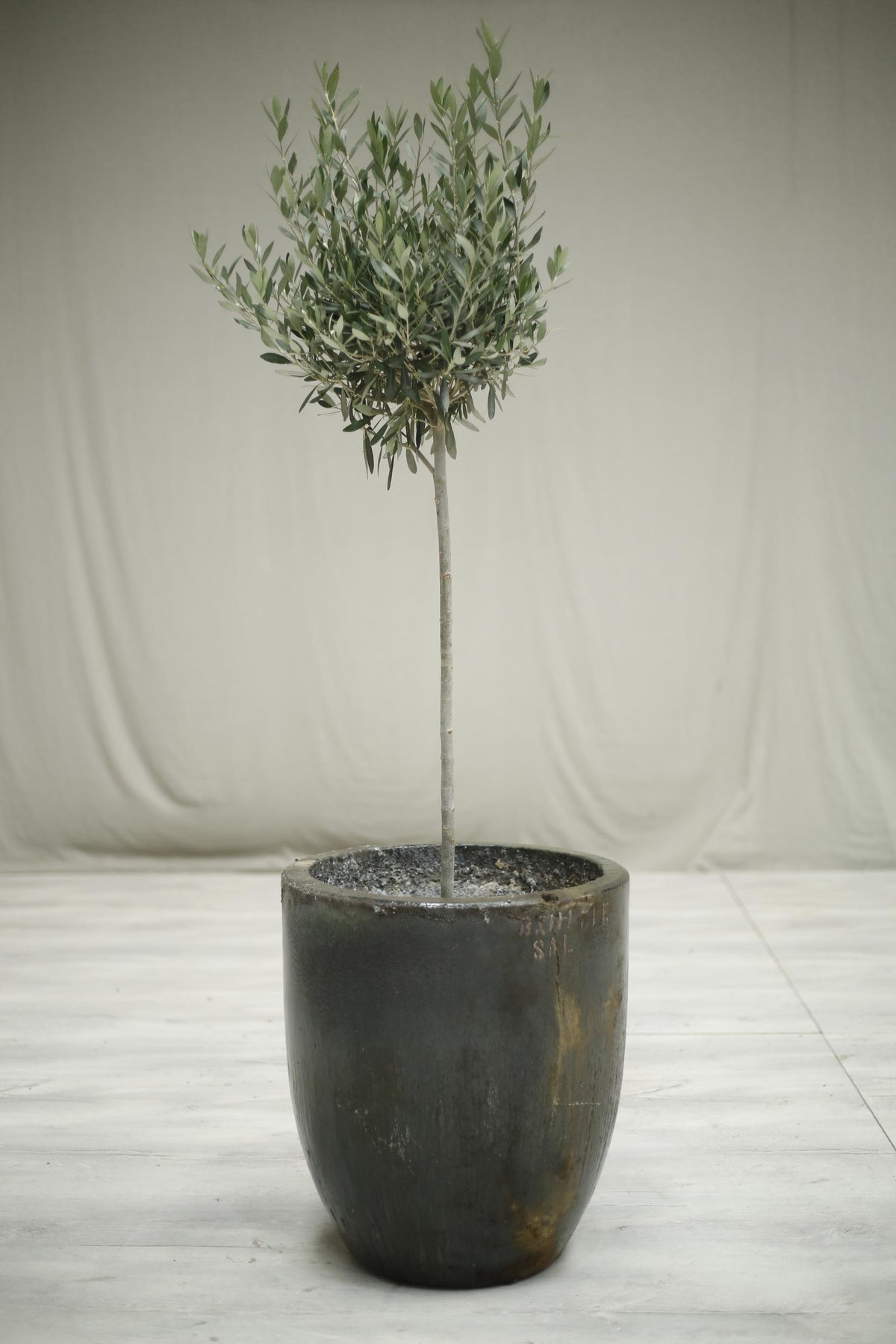 Very large smelting pot- No5 - TallBoy Interiors