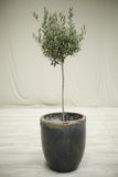 Very Large smelting pot- No6